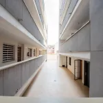 Apartment Slice Of Life Torrevieja